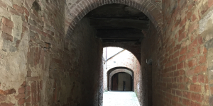 Oltre il populismo. Le vie di un riformismo possibile